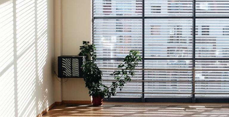 A sunlit office corner with blinds casting shadows and a potted plant, creating a serene atmosphere.